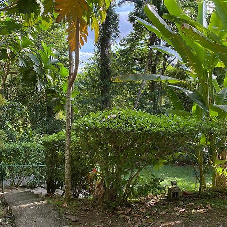 Colina Secreta - Glamping And Villas Puerto Viejo de Talamanca Eksteriør bilde