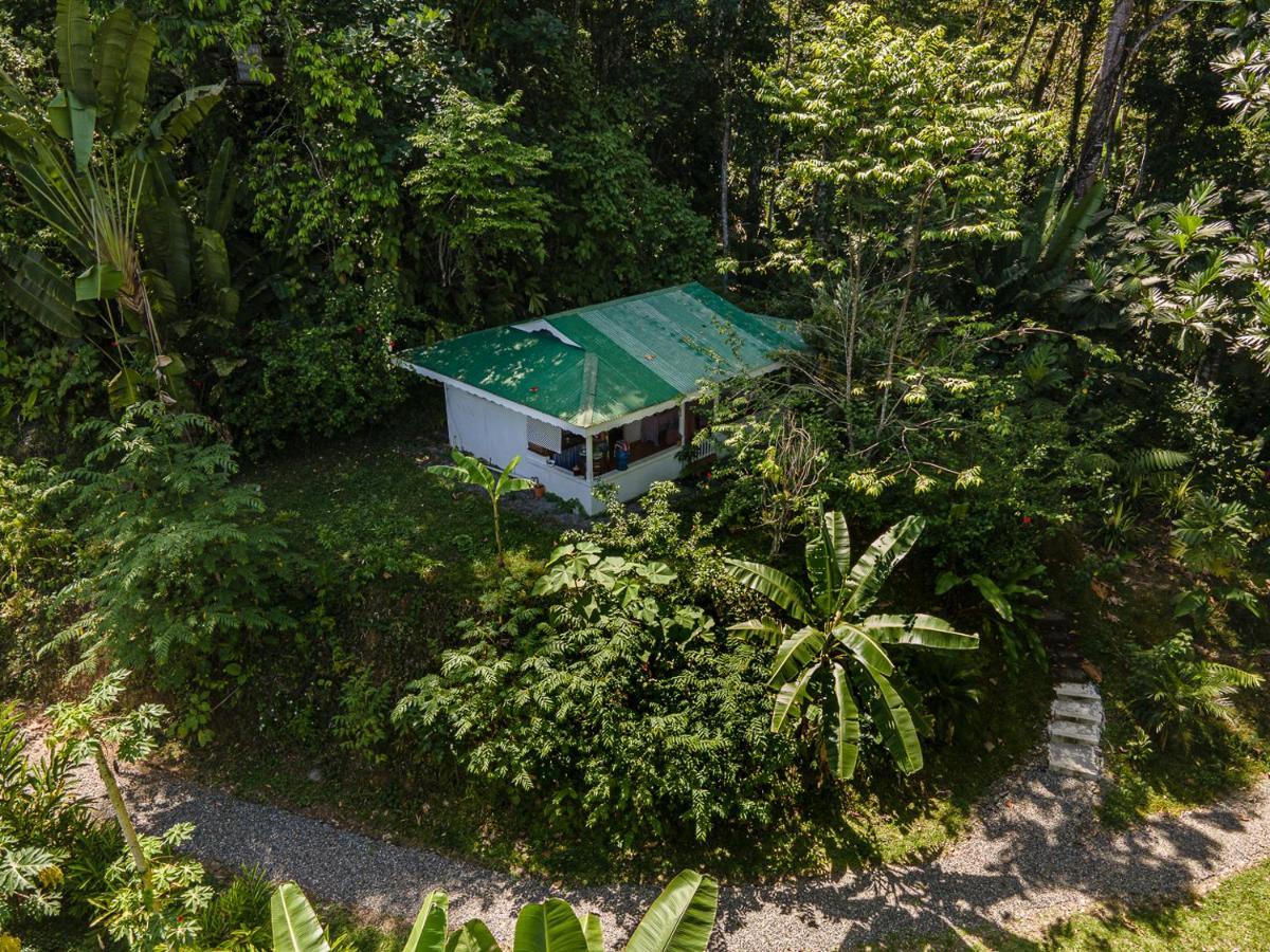 Colina Secreta - Glamping And Villas Puerto Viejo de Talamanca Eksteriør bilde