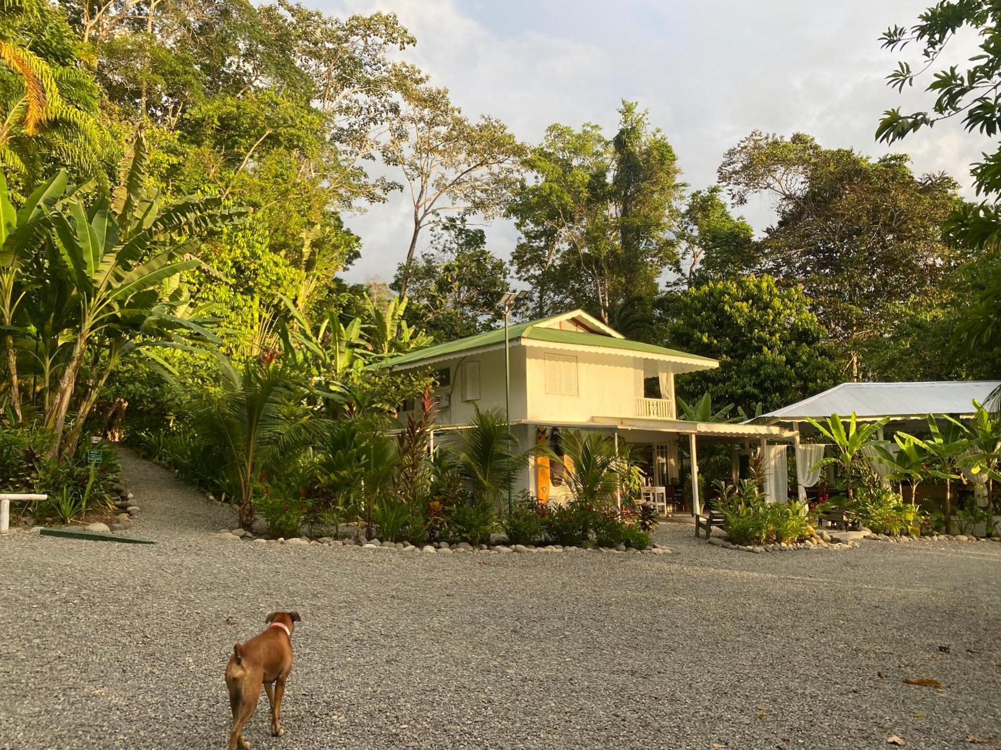 Colina Secreta - Glamping And Villas Puerto Viejo de Talamanca Eksteriør bilde