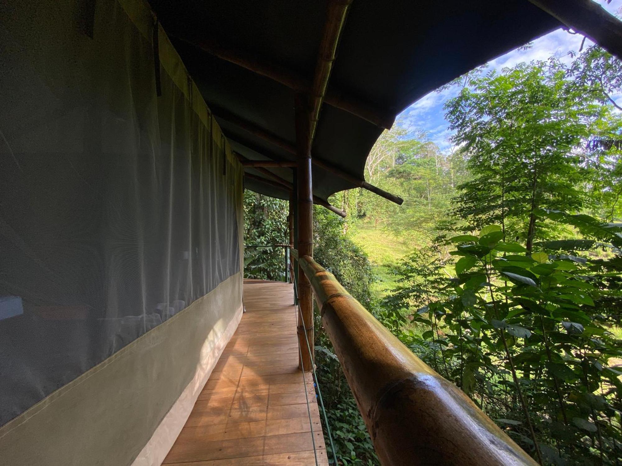 Colina Secreta - Glamping And Villas Puerto Viejo de Talamanca Eksteriør bilde